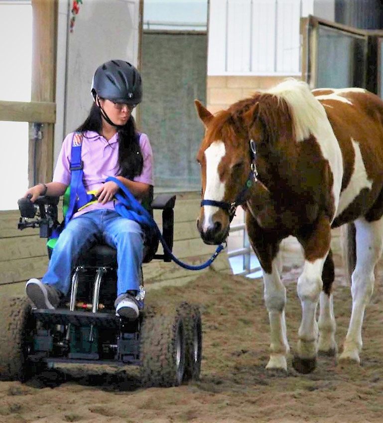 A participant in a power wheelchair with a therapy horse at Saddle Up